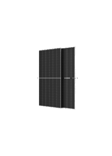 TRINA TSM-615NEG19RC.20 BIFACIAL