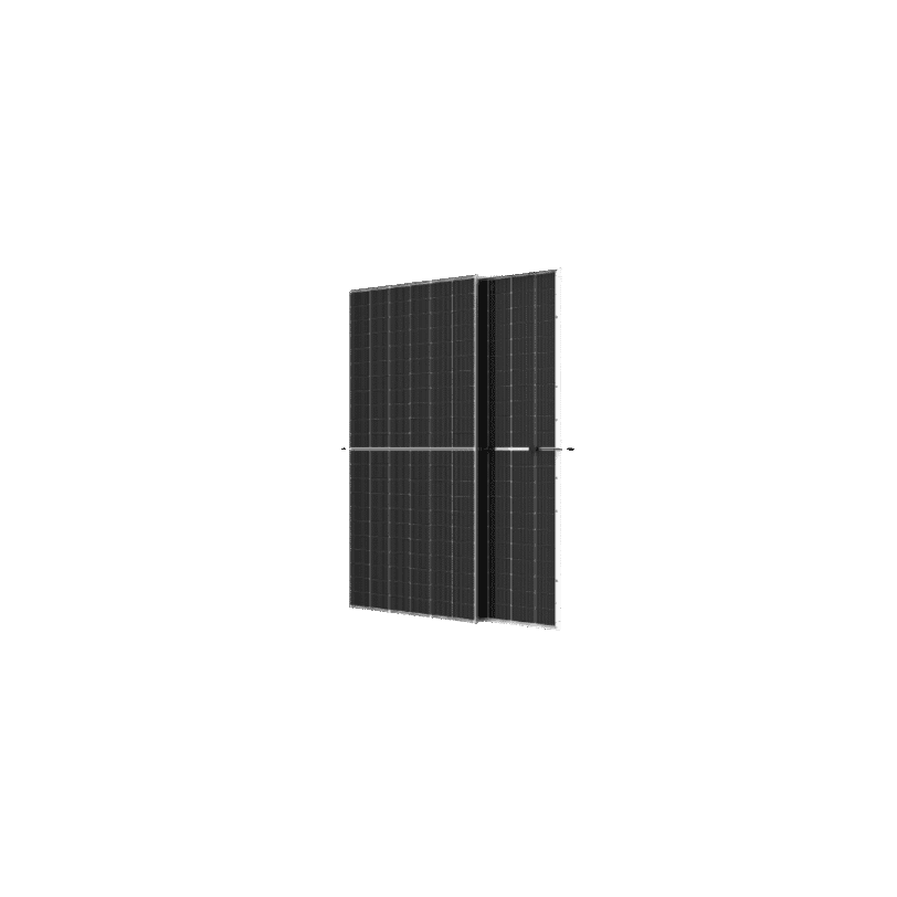 TRINA TSM-615NEG19RC.20 BIFACIAL